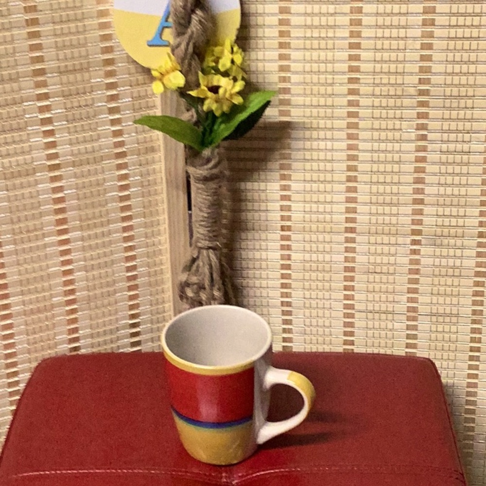 ROYAL NORFOLK MULTI COLOR CUP